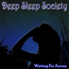 Picture for song 'Magic In The Air' by artist 'Deep Sleep Society'