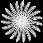 Picture for song 'AIR' by artist 'Dem Kats'