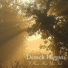 Picture for song 'I Know How You Feel' by artist 'Dereck Higgins'