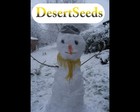 Picture for song '007_You Know How I Feel_DesertSeeds_CCYM_09' by artist 'Desert Seeds'
