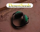 Picture for song 'DesertSeeds_Shine_sc08' by artist 'Desert Seeds'