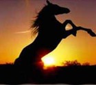 Picture for song 'Hold your horses' by artist 'deyo'