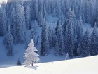 Picture for song 'Vivaldi - Winter shred (Allegro non molto)' by artist 'deyo'