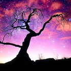 Picture for song 'Magic of the Moment' by artist 'DHW'