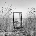 Picture for song 'Coast Of Vain Hopes (Free Download)' by artist 'Dictates Of Reason'