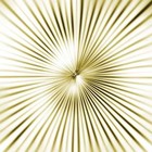 Picture for song 'Fear Energy Grid' by artist 'Diego Music Creations'