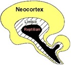 Picture for song 'Reptilian Brain' by artist 'Diego Music Creations'