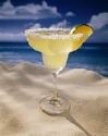 Picture for song 'margaritas y senoritas' by artist 'dirty sancho'