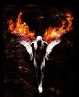 Picture for song 'Broken Angel' by artist 'Disillusioned Purity'