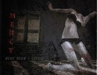 Picture for song 'Mercy' by artist 'Distant Towers'