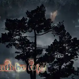 Picture for song 'Truth be Told' by artist 'Distant Towers'