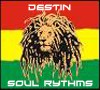 Picture for song 'Soul Rhythms' by artist 'DJ Destin'
