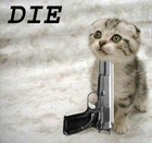 Picture for song 'Why Won't you?' by artist 'dj mattie pimp'