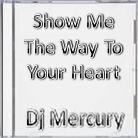 Picture for song 'Show Me The Way To Your Heart' by artist 'Dj Mercury'