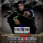 Picture for song 'The Re Introduction 2:Hip Hop Aint Dead' by artist 'DJ Sean Blu'