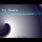 Picture for song 'Wounded rmx' by artist 'Dj Snare'
