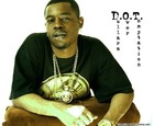 Picture for song 'PAY PER VIEW' by artist 'DOLLARS OVER TEMPTATION'