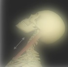 Picture for song 'Whooplash (bass & beats)' by artist 'Donnie Vyros'