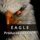 Picture for song 'Eagle' by artist 'DON P'