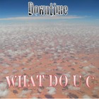 Picture for song 'What do U C' by artist 'Downtime Project'