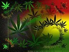 Picture for song 'DP DISCIPLE feat. DUBBZ - IMMA GET YOU............' by artist 'Dpnation'