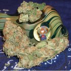 Picture for song 'you already know' by artist 'Drama Muzik ent'