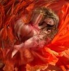 Picture for song 'DEEP CRIMSON DREAMS' by artist 'Dr. Bob's Jazz - Benefit Boppin' Quartet - JBBQ'