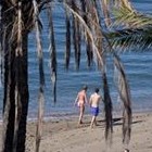 Picture for song 'HOW YOU MAKE ME FEEL' by artist 'Dr. Bob's Jazz - Benefit Boppin' Quartet - JBBQ'