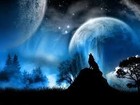 Picture for song 'Lone Wolf-Produced By DrugzOnTheTrack' by artist 'DrugzOnTheTrack'