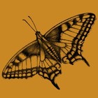 Picture for song 'Noonday Demon' by artist 'Earth Flight'