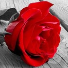 Picture for song 'One For Me **PREMIUM**' by artist 'East Wind Productions'