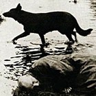 Picture for song 'My road to the Ocean' by artist 'Echo-ES (RU)'