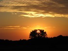 Picture for song 'Mystic Winds' by artist 'Eddie Lee and the Brown Rice Band'