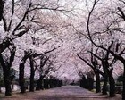 Picture for song 'EDO - instrumental 18' by artist 'EEDDOO'