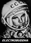 Picture for song '8. spaceracejunky revisited' by artist 'electrobuddha'