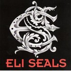 Picture for song '27 Dollars (And Very Little Sense)' by artist 'Eli Seals'
