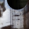 Picture for song 'again' by artist 'enzo rossi'