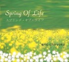 Picture for song 'Wonderful Friend' by artist 'Eric Chiryoku'