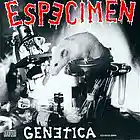 Picture for song 'GENETICA' by artist 'Especimen'