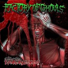 Picture for song 'Gracing Dismemberment' by artist 'FACTORY of Ghouls'