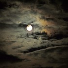 Picture for song 'Cold Nightz ' by artist 'FalloutBeatz'