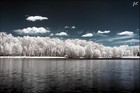 Picture for song 'A Quiet Place In The Fog' by artist 'Faro Lounge'