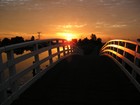 Picture for song 'Bridge of Sighs' by artist 'Faro Lounge'