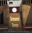 Picture for song 'Seasoned Tween' by artist 'Flange'
