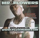 Picture for song 'Guidance' by artist 'FluxMobb Clan'