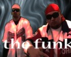 Picture for song 'The Funk' by artist 'Forbidden Realm'