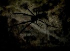 Picture for song 'The end justifies the means?' by artist 'ForeverGrasping'