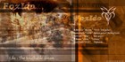 Picture for song 'The Dance of liberty ' Live '' by artist 'Foxido'