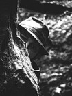 Picture for song 'MORE THAN IT SEEMS' by artist 'mAd goNe maD'