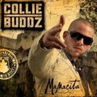 Picture for song 'FWP - Perfect Picture (MOD.REGGAE) ( $0,50 DEMO )' by artist 'F.W.P.'